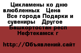 Цикламены ко дню влюбленных › Цена ­ 180 - Все города Подарки и сувениры » Другое   . Башкортостан респ.,Нефтекамск г.